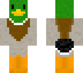 mallard duck