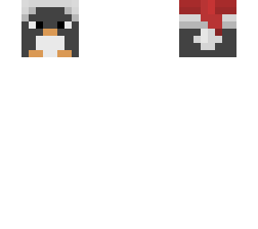 penguin head with santa hat