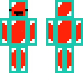 skin
