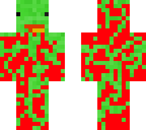 video skin