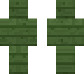 cactus planks skin