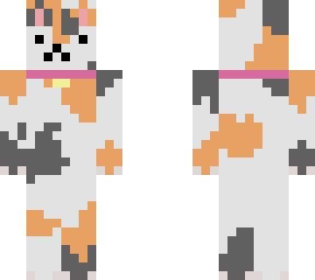 calico cat