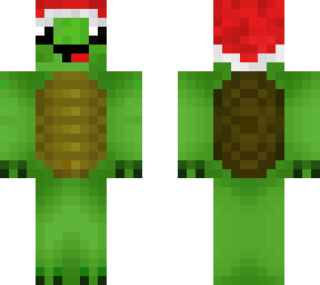 turtle with christmas haat