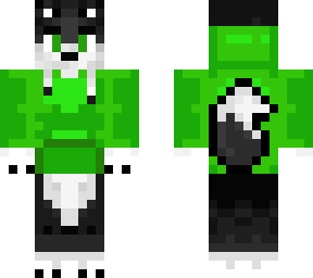 husky with a green jacket