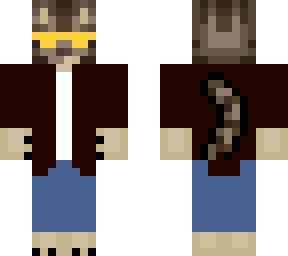 cat with jacket