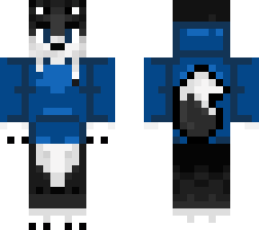 husky with a dark blue jacket