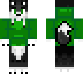 husky with a dark green jacket