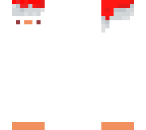 christmas duck