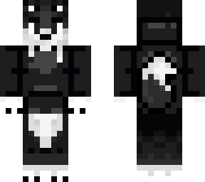 husky with a black jacket