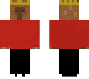 (848kkll) capybara