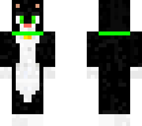 black and white cat