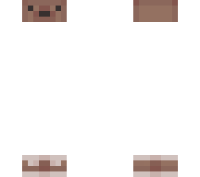 bear accessories