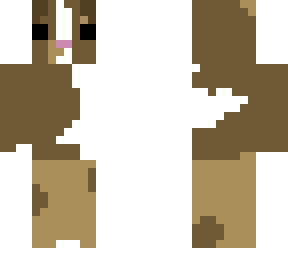a brown guinea pig