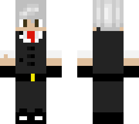 the assasin
