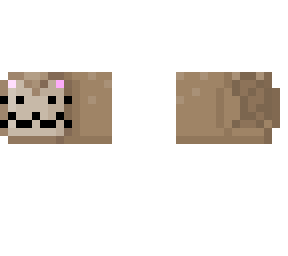 .  loaf cat  .