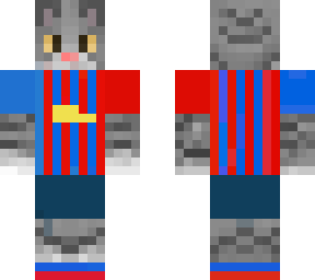 cute barcelona cat