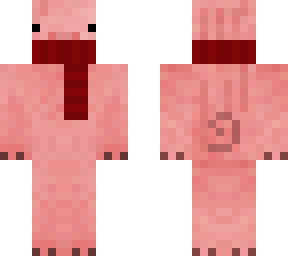 pig in a scarf