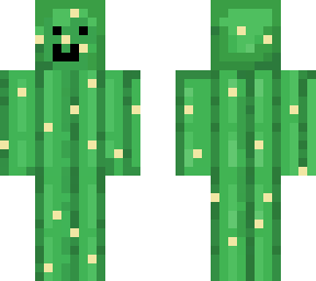 cacti dude