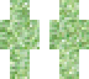 used to be a turtle