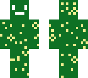 cactus kid