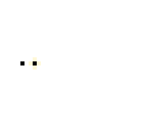 silly cat