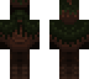 draped in moss