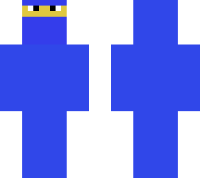 blue ninja