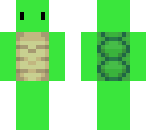 it a turtle