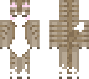 kitty :3