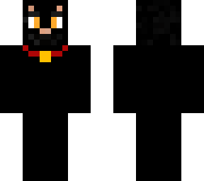black cat - house cat
