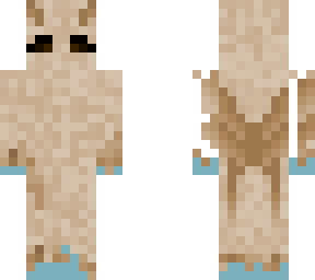 moth