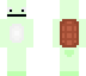 turtle costume?