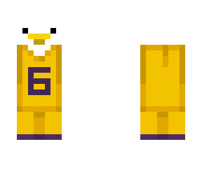 lebron goose
