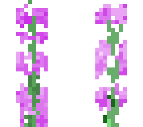 lilac disguise