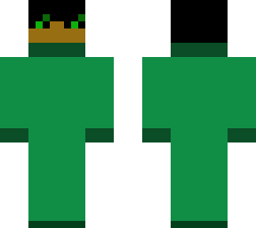 the green ninja