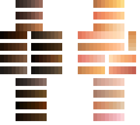 skin pallet - dark and light