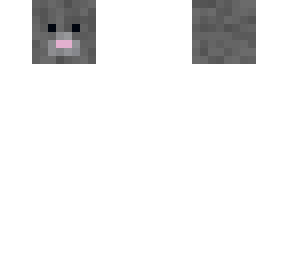 fixed levitating rat
