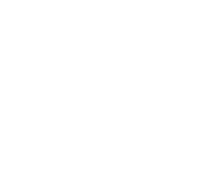 asdsada