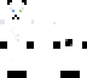 a very cute panda husky