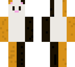 cute calico cat