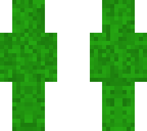 camouflage