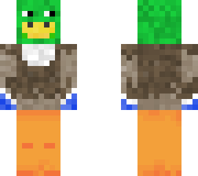 dillard duck