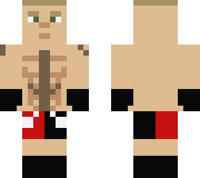 brock lesnar