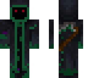 skin