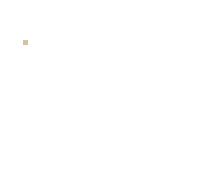 1 pixel