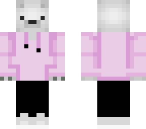 bear with a hoodie