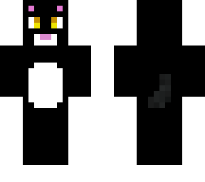 black cat
