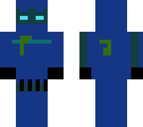 mr.ninja