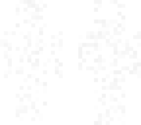white camo