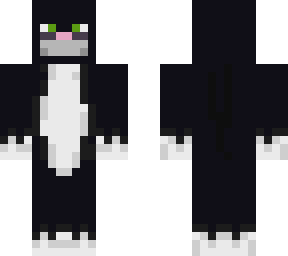 black cat